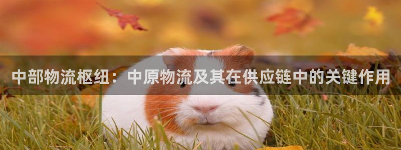 28圈ip被限制怎么解决