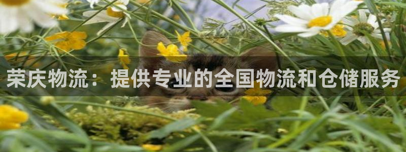 28圈官方版网站
