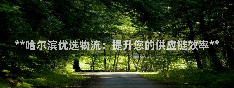 28圈游戏官网版：**哈尔滨优选物流