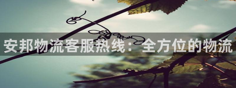 28圈模拟器在线使用：安邦物流客服热