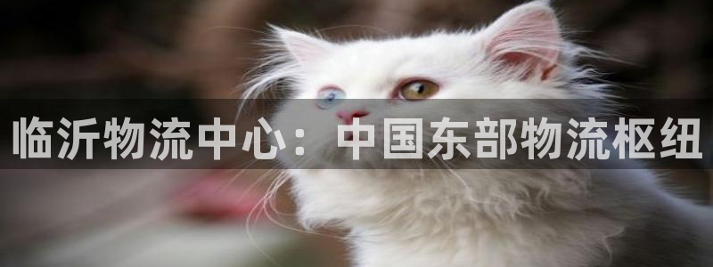 28圈现在狂杀：临沂物流中心：中国东