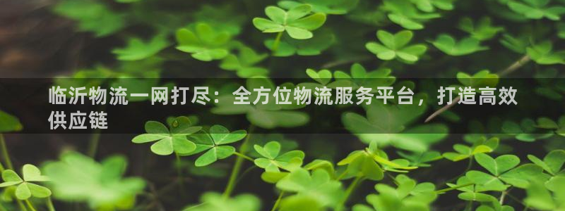 28圈官网注册：临沂物流一网打尽：全